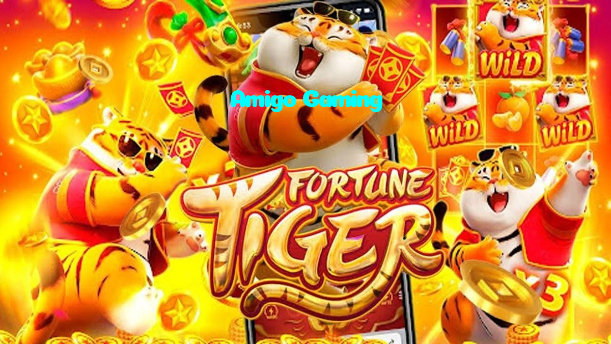 available types of Amigo Gaming bet including pre-match live express and system bets